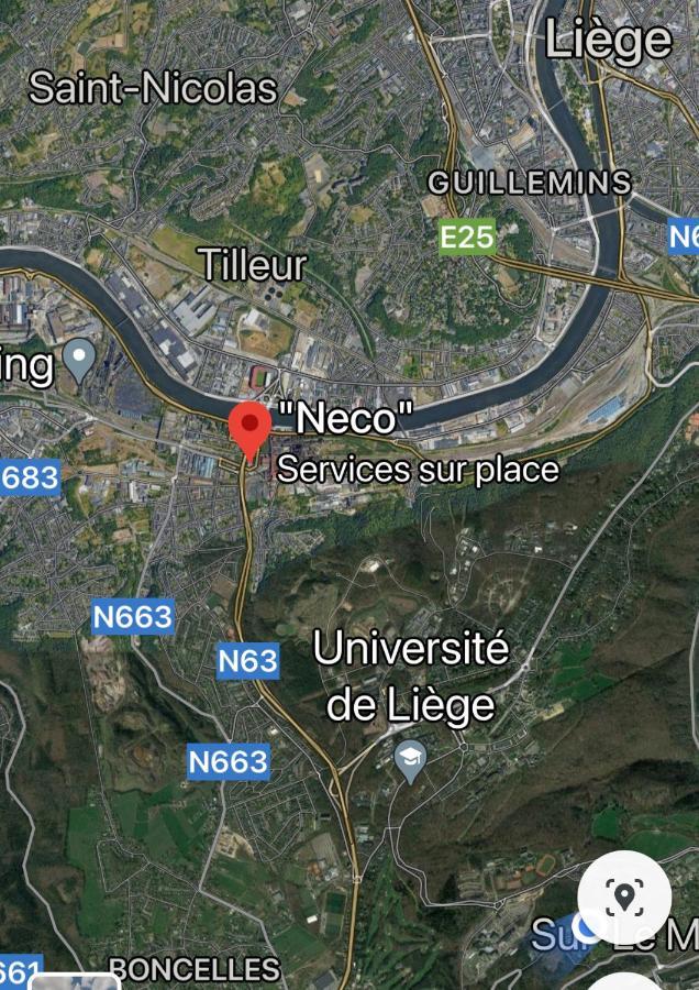Fenetre Sur Le Standard De Liege Διαμέρισμα Ougree Εξωτερικό φωτογραφία